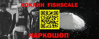 гидропоника Камышлов