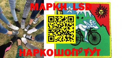 гидропоника Камышлов