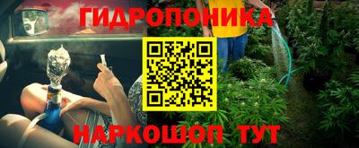 кокс Кингисепп