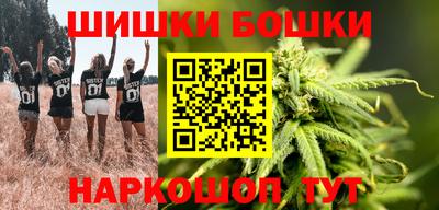 гидропоника Камышлов