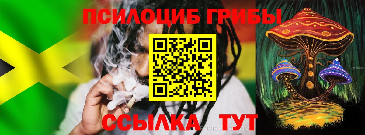 Псилоцибиновые грибы MAGIC MUSHROOMS  Вход с VPN  Куйбышев 