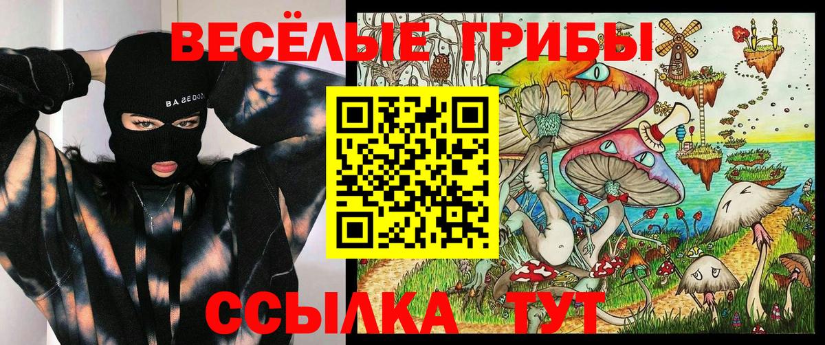 Псилоцибиновые грибы Psilocybine cubensis Куйбышев